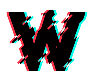 Ws4 Store